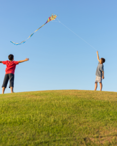 Two boys flying a kite on a hill