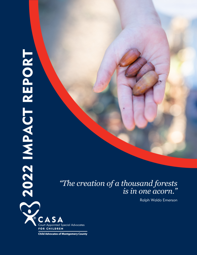 2022 CASA Impact Report